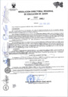 Vista preliminar de documento RDREJ.0307-2025-OTORGAR LA ASIGANCIÓN POR TIEMPO DE SERVICIO A DOÑA CARMEN CARBAJAL
