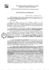 Vista preliminar de documento GDE-104-25