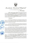 Vista preliminar de documento RDR-269-2025