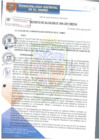 Vista preliminar de documento DA004-2017