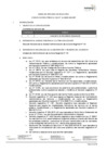 Vista preliminar de documento BASES