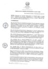 Vista preliminar de documento RCO-0155-2017-UNDC