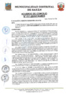 Vista preliminar de documento 017-2025-CM