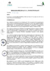 Vista preliminar de documento RESOLUCIÓN DIRECTORAL N.° 014-2019-MML-PROHVILLA-DT