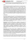 Vista preliminar de documento RG102