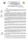 Vista preliminar de documento Resolucion de Gerencia Municipal 60-2025-MPJGM