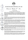 Vista preliminar de documento 20250331102458_12030_D_A_N°004-2025.pdf