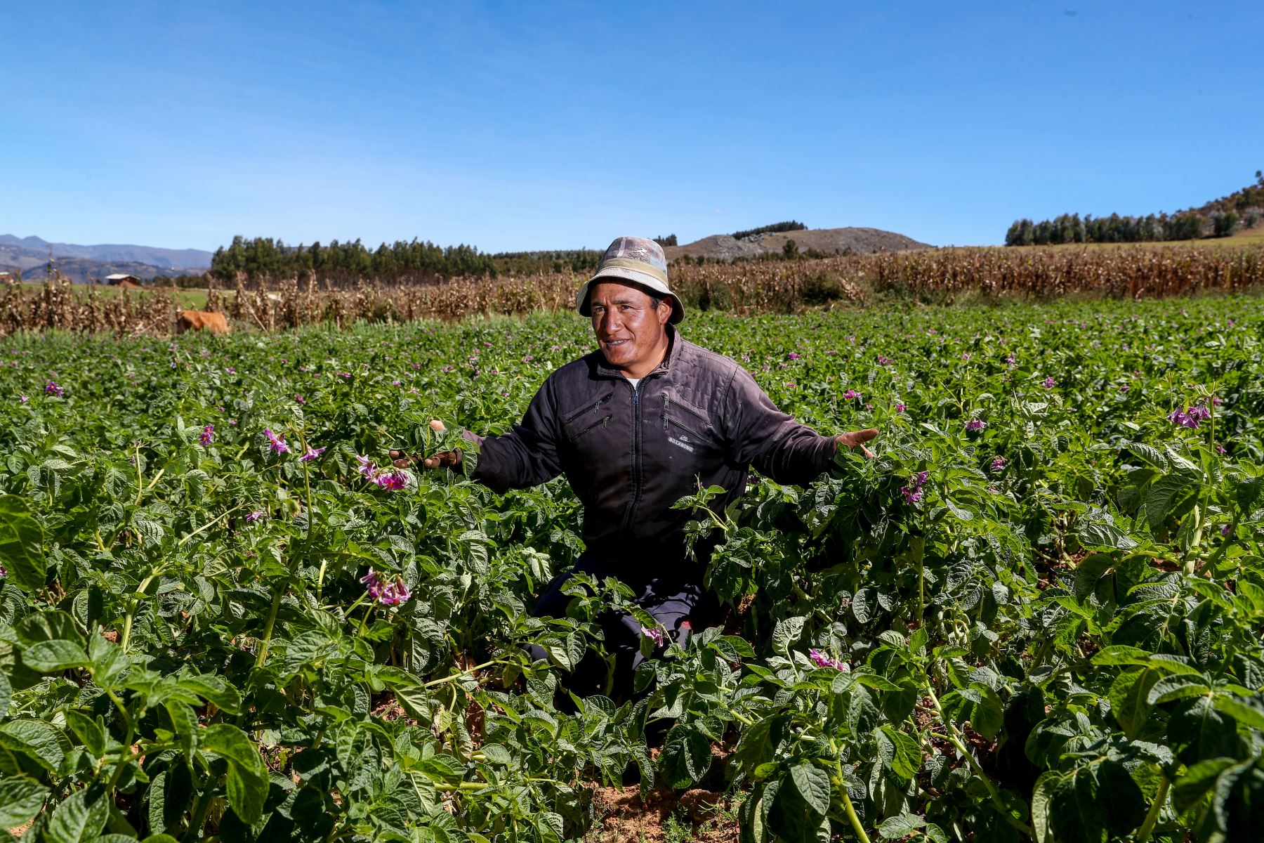 MIDAGRI crea nómina de especialistas para fortalecer la gestión ambiental en beneficio de la evaluación y aprobación de producción agropecua