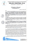 Vista preliminar de documento RG-029-2025-GG-EPSSSCSA