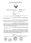 Vista preliminar de documento 2459