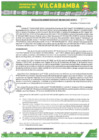 Vista preliminar de documento RADMIN 069 2025