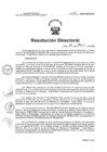 Vista preliminar de documento RD N°171-2025-HNCH-DG