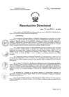 Vista preliminar de documento RD N°172-2025-HNCH-DG