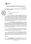 Vista preliminar de documento 008-2025-FINVER-PD