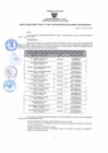 Vista preliminar de documento 0343 - 2025