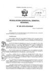 Vista preliminar de documento RESOLUCION GERENCIAL GENERAL REGIONAL - 206-2025