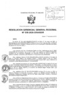 Vista preliminar de documento RESOLUCION GERENCIAL GENERAL REGIONAL-038-2025