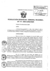 Vista preliminar de documento RESOLUCION GERENCIAL GENERAL REGIONAL - 717-2024