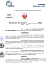 Vista preliminar de documento Resolucion Directoral N° 002870-2025