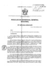 Vista preliminar de documento RESOLUCION GERENCIAL GENERAL REGIONAL - 555-2024