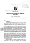 Vista preliminar de documento RESOLUCION GERENCIAL GENERAL REGIONAL - 333-2024