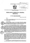 Vista preliminar de documento RESOLUCION GERENCIAL GENERAL REGIONAL - 317-2024