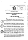Vista preliminar de documento RESOLUCION GERENCIAL GENERAL REGIONAL - 262-2024