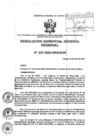 Vista preliminar de documento RESOLUCION GERENCIAL GENERAL REGIONAL - 237-2024
