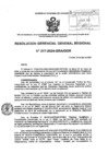 Vista preliminar de documento RESOLUCION GERENCIAL GENERAL REGIONAL - 217-2024