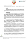 Vista preliminar de documento RGG Nº D000027-2025-GG
