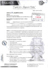 Vista preliminar de documento CARTA N° 286-2025-MPSR-J/GA/SGL (Requisitos y cronograma).