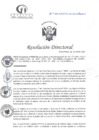 Vista preliminar de documento RD N°102-04-2025-DE-HCLLH-MINSA