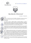 Vista preliminar de documento RD N°103-04-2025-DE-HCLLH-MINSA
