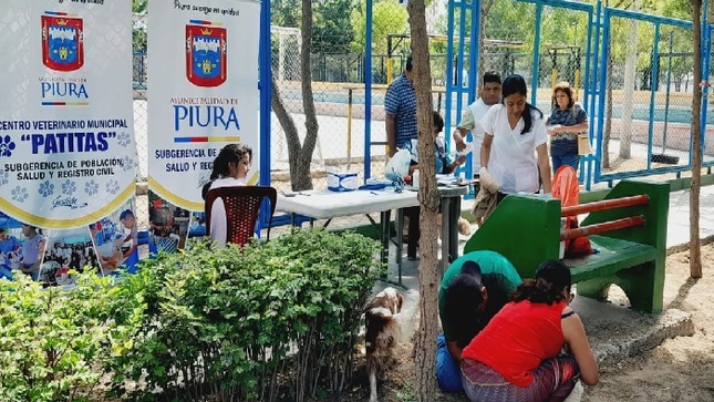 Atención veterinaria gratuita