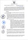 Vista preliminar de documento RGSR 009-2025