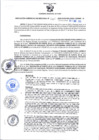 Vista preliminar de documento RGSR 010-2025