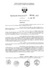 Vista preliminar de documento 2482