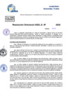 Vista preliminar de documento Resolucion Directoral N° 002875-2025