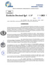 Vista preliminar de documento Resolucion Directoral N° 002877-2025