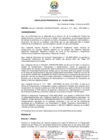 Vista preliminar de documento RP-0119-2021-UNDC