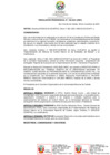Vista preliminar de documento RP-0162-2021-UNDC
