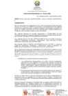 Vista preliminar de documento RP-0175-2021-UNDC