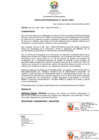 Vista preliminar de documento RP-0182-2021-UNDC