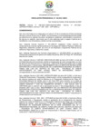 Vista preliminar de documento RP-0184-2021-UNDC