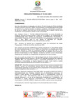 Vista preliminar de documento RP-0181-2021-UNDC