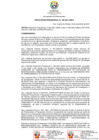 Vista preliminar de documento RP-0186-2021-UNDC