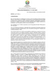 Vista preliminar de documento RP-0191-2021-UNDC