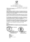Vista preliminar de documento RP-0101-2019-UNDC
