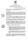 Vista preliminar de documento RP-0234-2019-UNDC