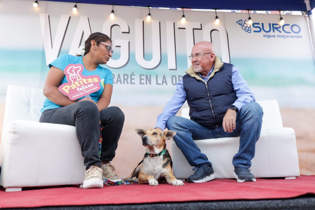 "Vaguito” es embajador de la campaña de adopción Patitas Felices promovida por la Municipalidad de Surco